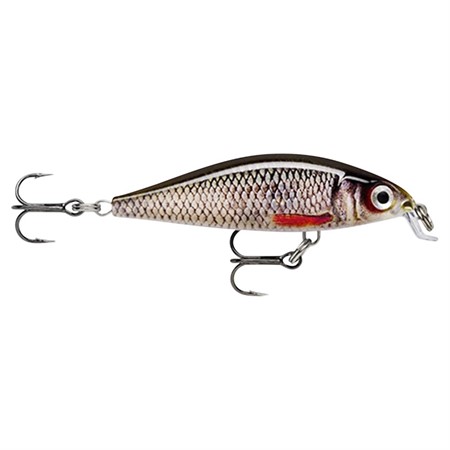 Rapala X-Light Minnow 05 Live Roach