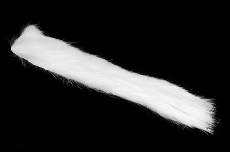 Rabbit Zonkers White