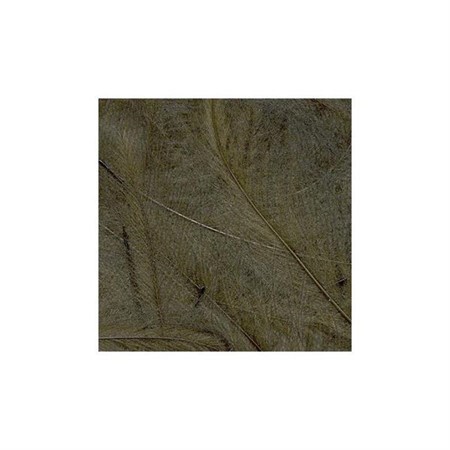 CDC-Feathers 1g Bistre