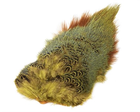 Ringneck Rump Patch Golden Yellow