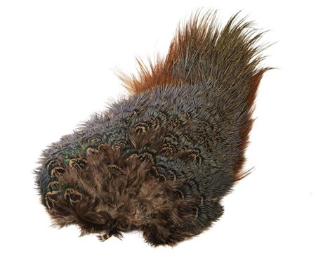 Ringneck Rump Patch Chocolate Brown