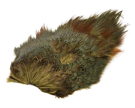 Ringneck Rump Patch Olive