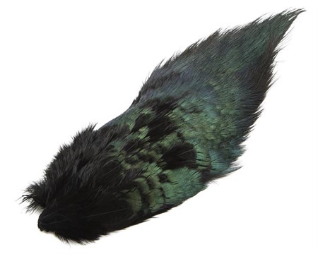 Ringneck Rump Patch Black