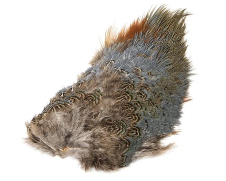 Ringneck Rump Patch Natural