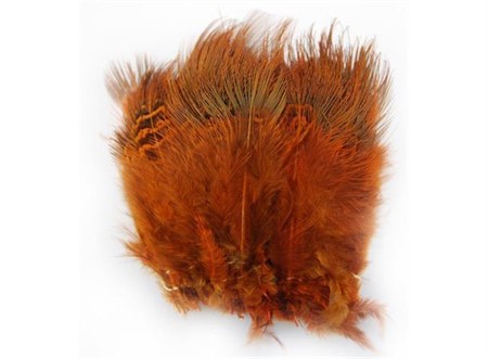 Ringneck Rump Hackle Orange