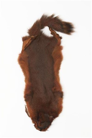 Pine Squirrel Skin Crawdad Orange