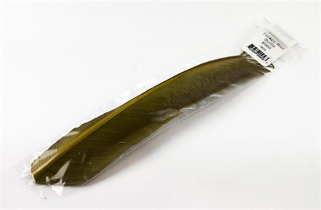 Turkey Biot Quills BWO