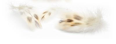 Gräsand E12 - Fjädrar Små